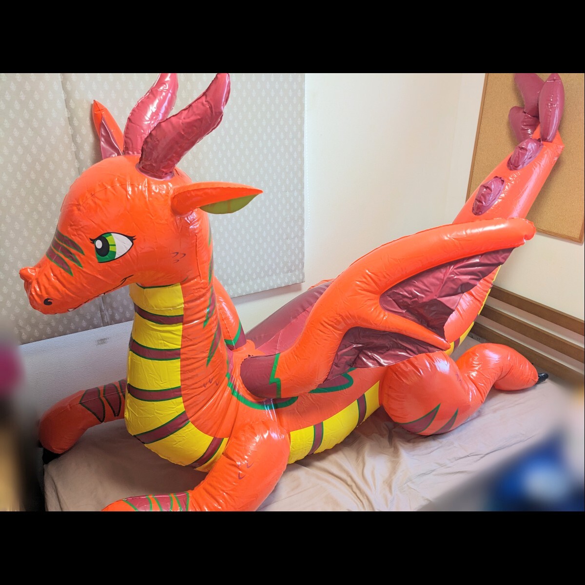 Yahoo!オークション -「空ビ ドラゴン」(浮き輪、浮き具 Yahoo!オークション -「空ビ ドラゴン」(浮き輪、浮き具