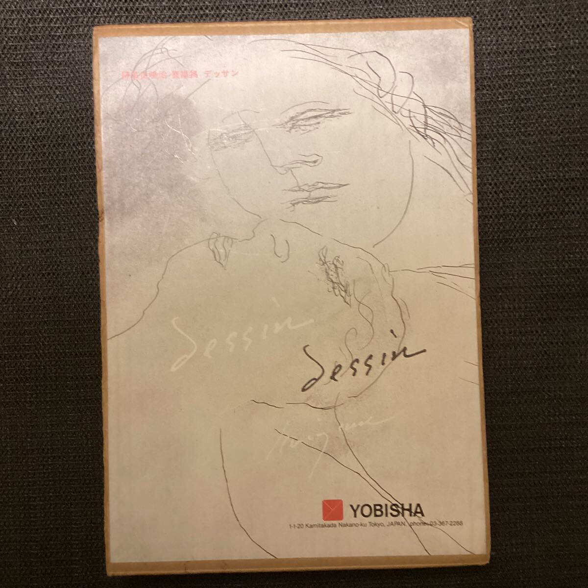 デッサン : 野見山暁治素描集(野見山暁治 : 著) / 古本、中古本