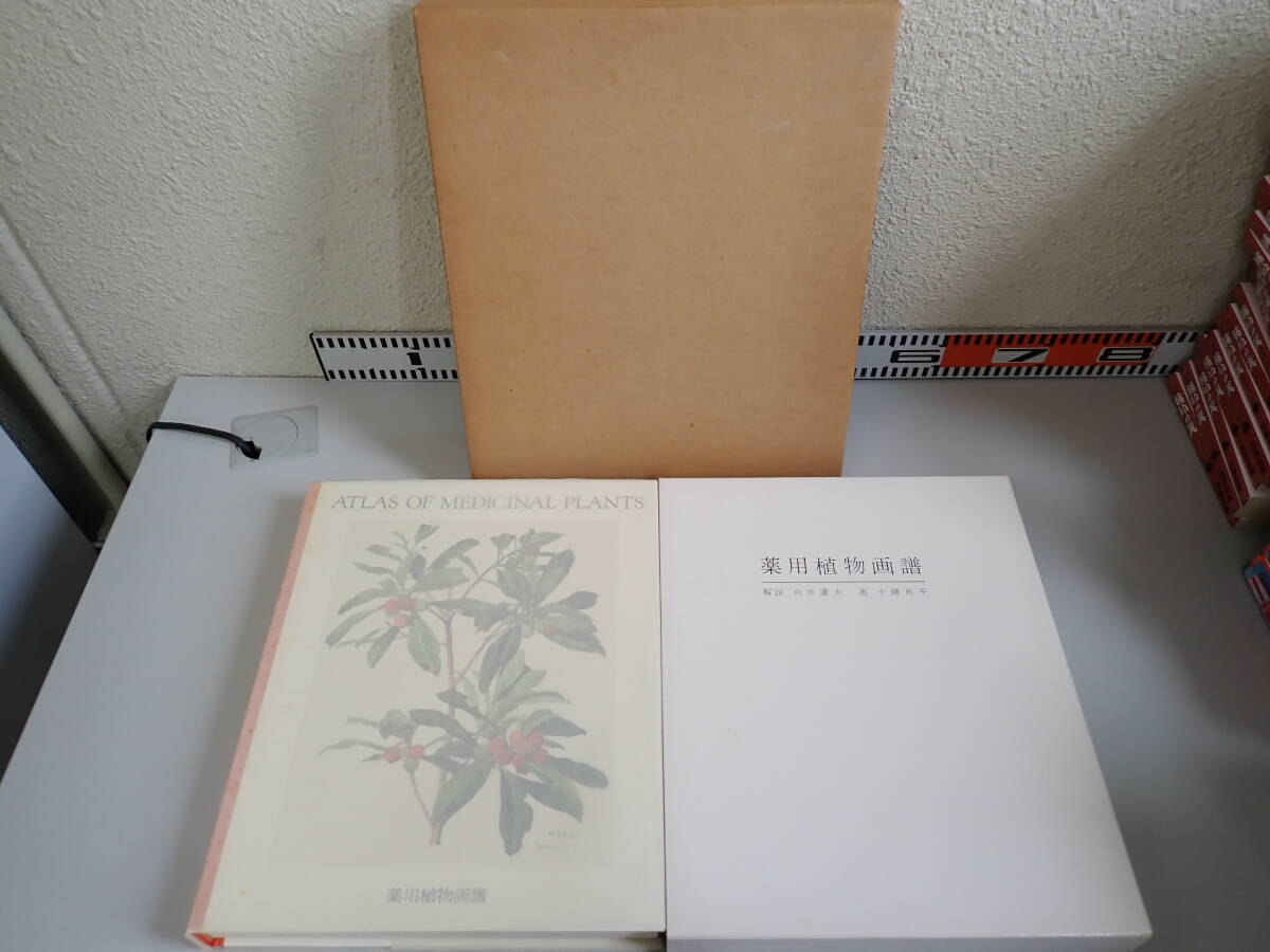 Yahoo!オークション -「薬用植物画譜 小磯良平」の落札相場 Yahoo!オークション -「薬用植物画譜 小磯良平」の落札相場