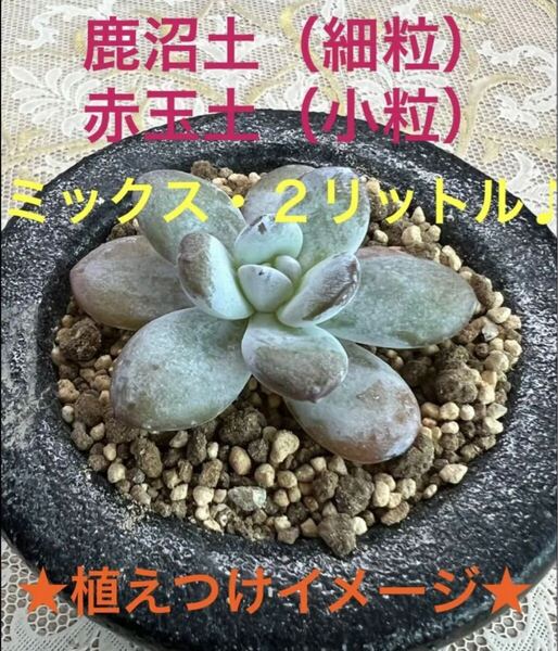 鹿沼土&赤玉土★ミックス・2リットル♪♪