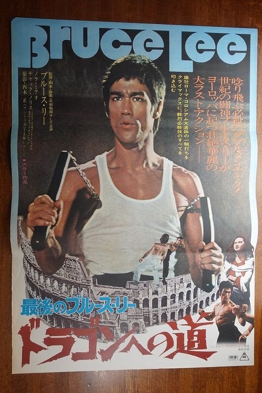 ドラゴンへの道 - （1972））ブルース・リー19x13映画ポスター平行輸入