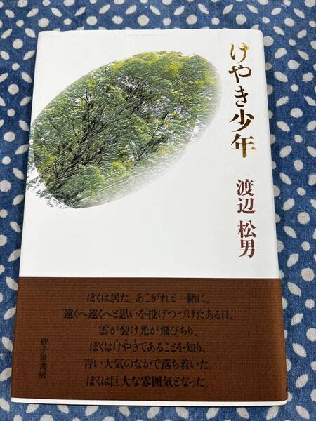 渡辺松男 第四歌集 「けやき少年」美品