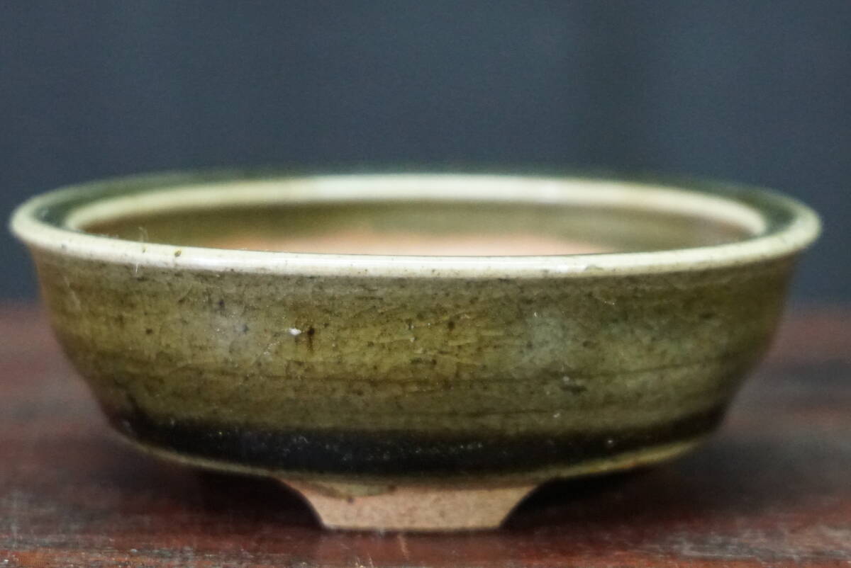 楽天市場】盆栽鉢 天竜石仙 丸鉢 【作家鉢 盆栽小鉢 お買い得