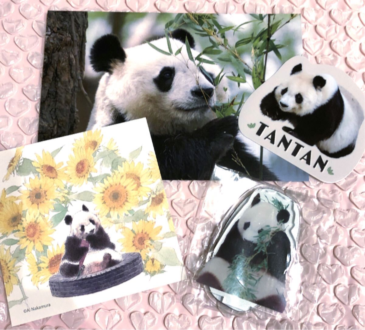 Yahoo!オークション -「タンタン」(パンダ) (動物)の落札相場 Yahoo!オークション -「タンタン」(パンダ) (動物)の落札相場