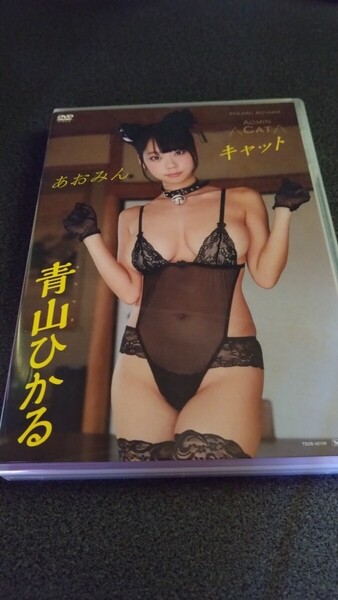 青山ひかる あおみんキャット グラビアDVD アイドルDVD イメージ