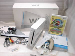 2501191 Wii本体 スーパーペーパーマリオ 現状品
