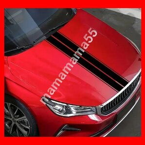 ステッカーNo.341 スキージー1枚付き(153cm×20cm) 車 デカール 防水 痛車 ストライプ ボンネットステッカー