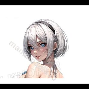 ステッカーNo.107 PC 車 デカール 防水 かわいい 可愛い シール 女の子 アニメ 痛車 白髪 ビキニ プール楽しいよ!
