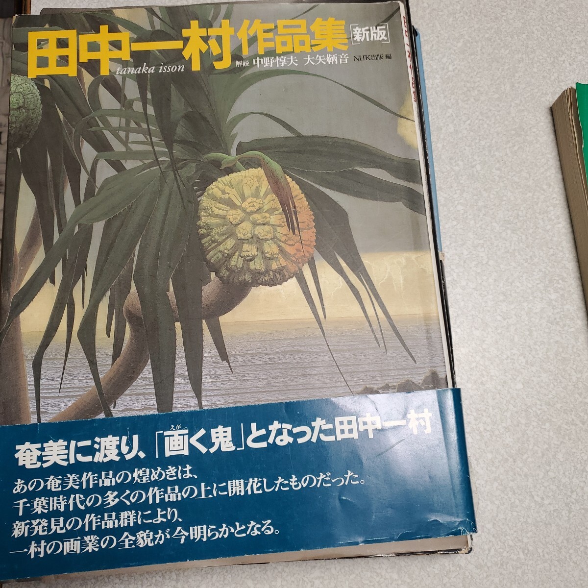 Yahoo!オークション -「田中一村 画」の落札相場・落札価格 Yahoo!オークション -「田中一村 画」の落札相場・落札価格
