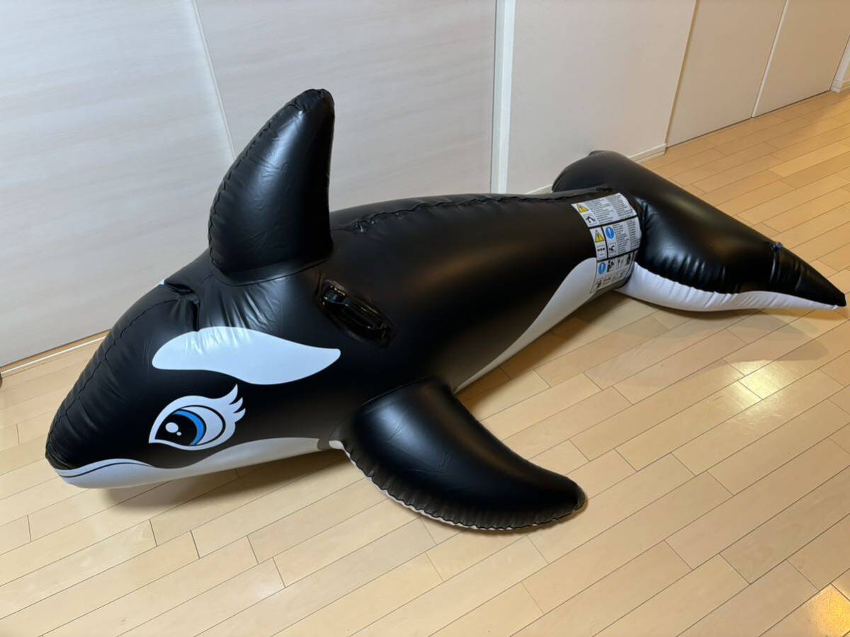 Yahoo!オークション -「シャチフロート」(水遊び) の落札相場