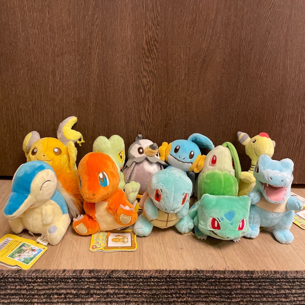 Yahoo!オークション -「ポケモンキャンバスぬいぐるみ」の落札 Yahoo!オークション -「ポケモンキャンバスぬいぐるみ」の落札