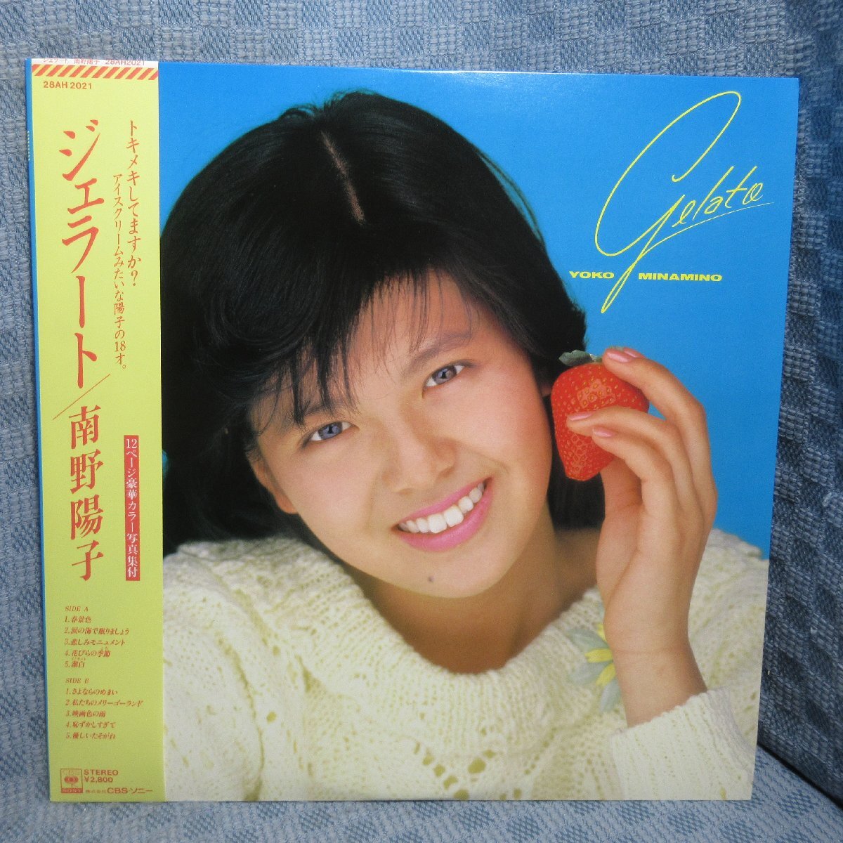 2025年最新】Yahoo!オークション -南野陽子レコードの中古品