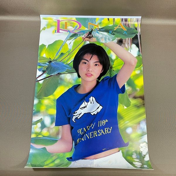 Yahoo!オークション - 田中麗奈 2002 カレンダー B2サイズ