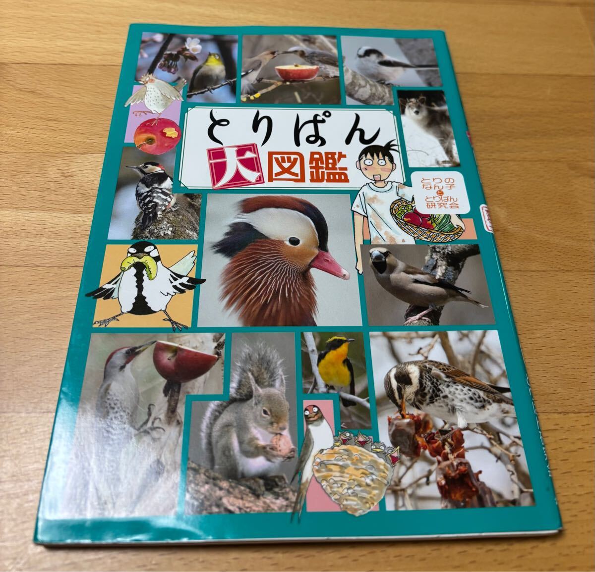 2025年最新】Yahoo!オークション -#とりぱんの中古品・新品・未 2025年最新】Yahoo!オークション -#とりぱんの中古品・新品・未