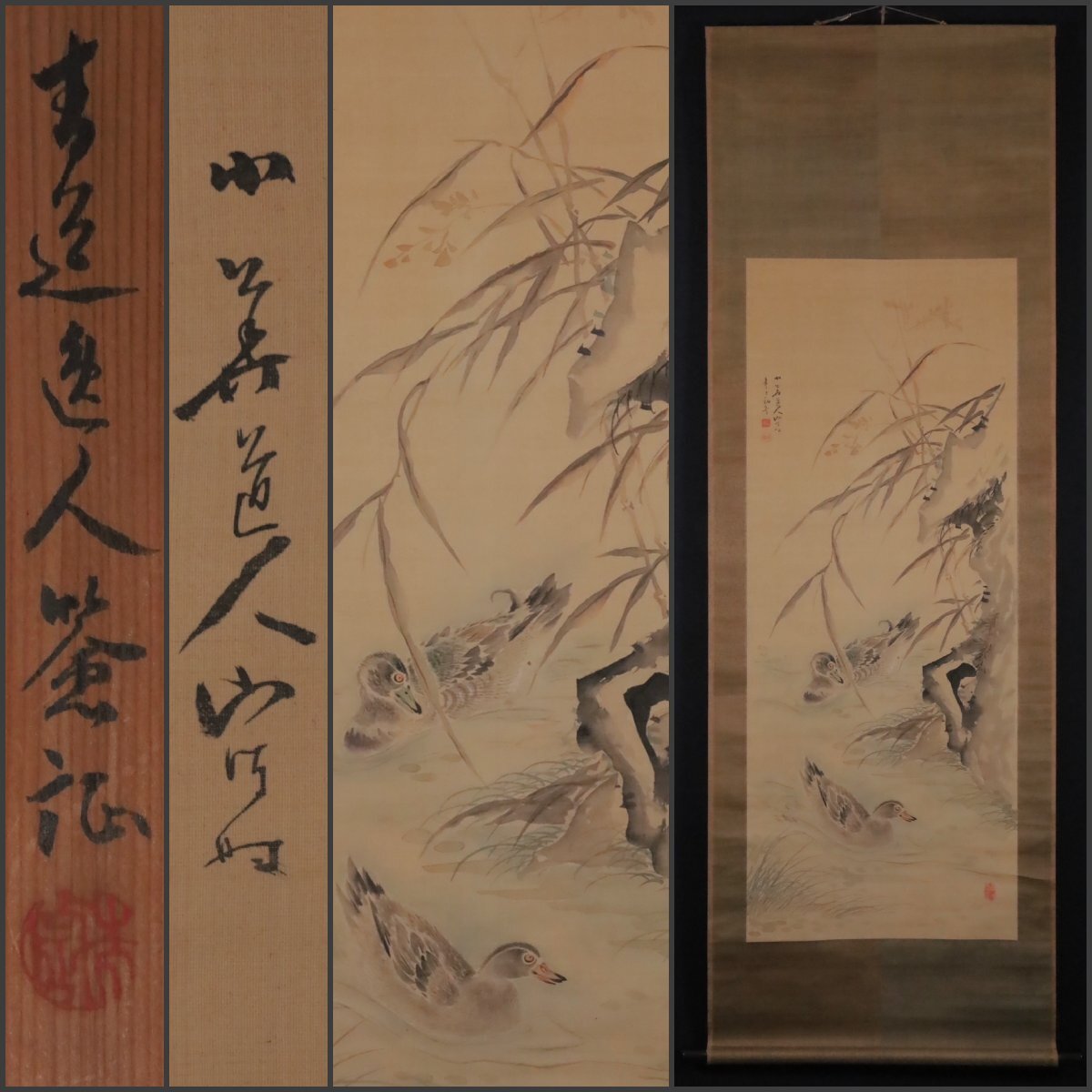 渡辺小華 掛軸 肉筆 墨蓮図 大幅 画家 井上華陵鑑定 箱付