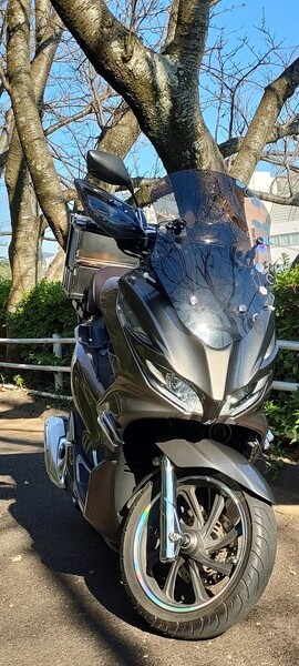 2枚セット★レインボー★デコステッカー★ホログラム★ウィンドスクリーン ハンドル ナックルガード ボディ リムステッカー併用推奨