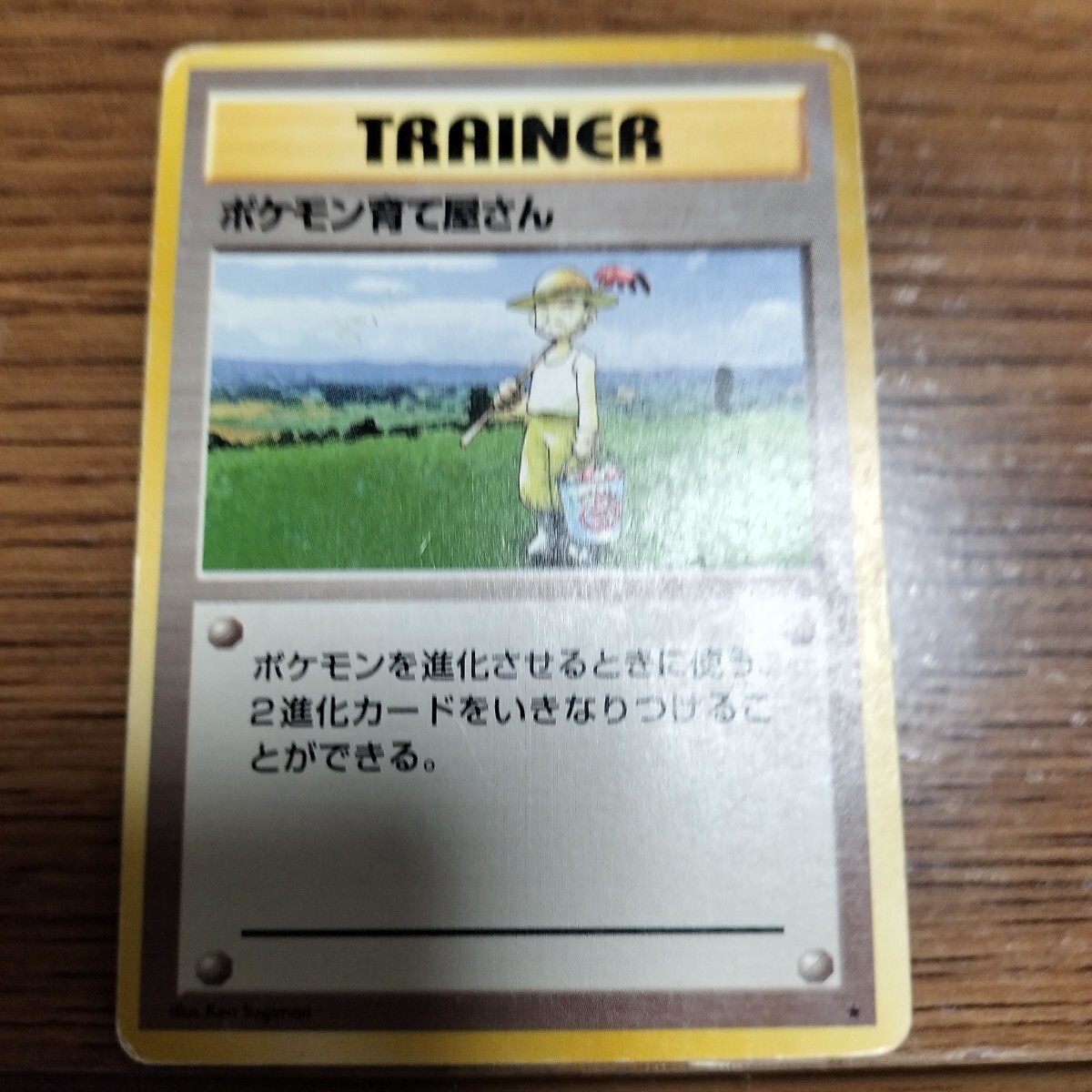 Yahoo!オークション -「ポケモン育て屋さん」の落札相場・落札価格 Yahoo!オークション -「ポケモン育て屋さん」の落札相場・落札価格