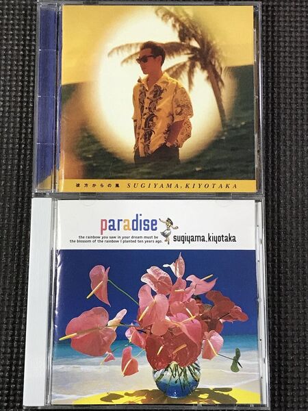 杉山清貴 CD2枚セット paradise 夏の恋を続けよう、彼方からの風
