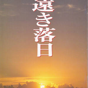 5989-10【送料込み】《映画の劇場パンフレット》1992年 三田佳子 / 三上博史 主演「遠き落日」