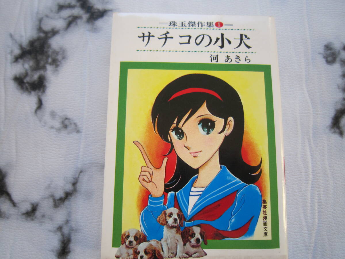 2025年最新】Yahoo!オークション -#河あきらの中古品・新品・未