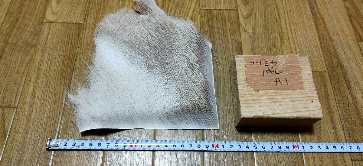 蝦夷鹿 毛皮 ① 2025年最新】Yahoo!オークション -鹿 毛皮の中古品・新品・未