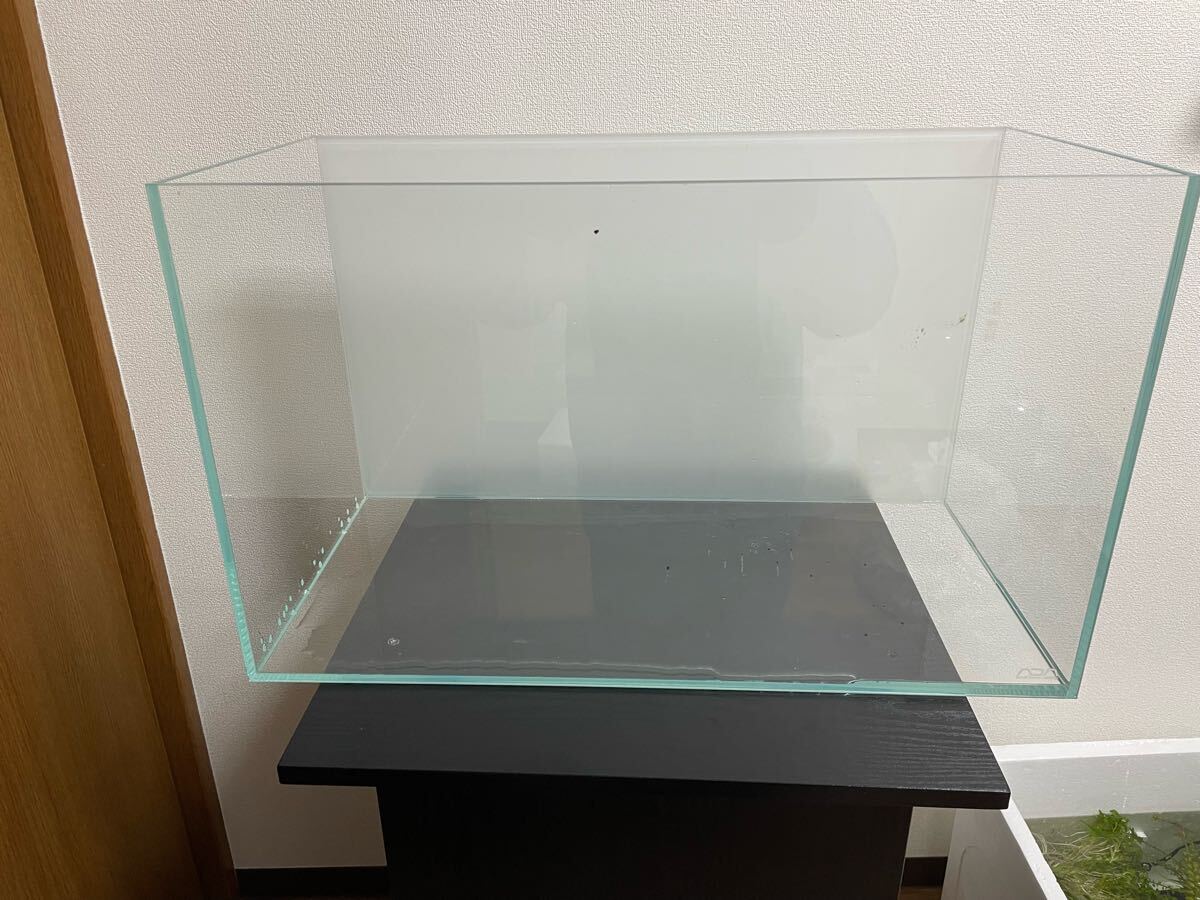 Yahoo!オークション -「ada 水槽」(水槽) (魚、水草)の落札相場 Yahoo!オークション -「ada 水槽」(水槽) (魚、水草)の落札相場