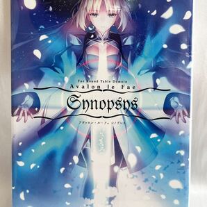未読本 Avalon le Fae Synopsys 奈須きのこ 竹箒
