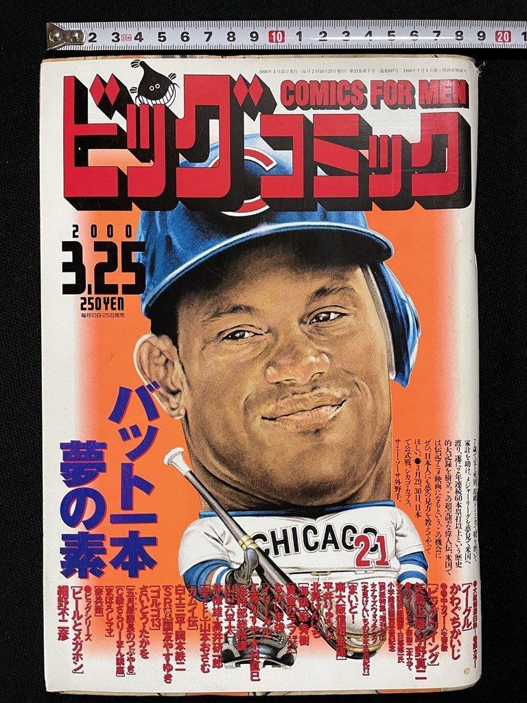 Amazon.co.jp: 古本ビッグウイング 矢島正雄/引野真二 18巻