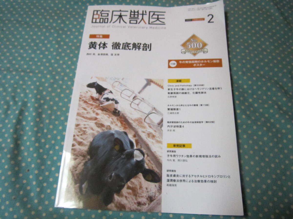 2025年最新】Yahoo!オークション -獣医学(本、雑誌)の中古品 2025年最新】Yahoo!オークション -獣医学(本、雑誌)の中古品