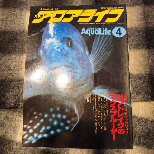月刊アクアライフ マリン企画 1988/04 アフリカンシクリッド リフトレイクのマウスブルーダー