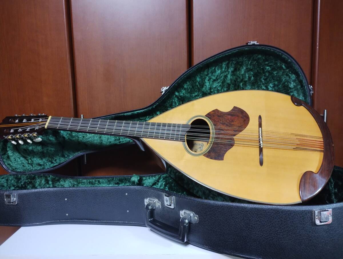 SUZUKI MANDOCELLO / スズキ マンドチェロ MC-836 | 楽器