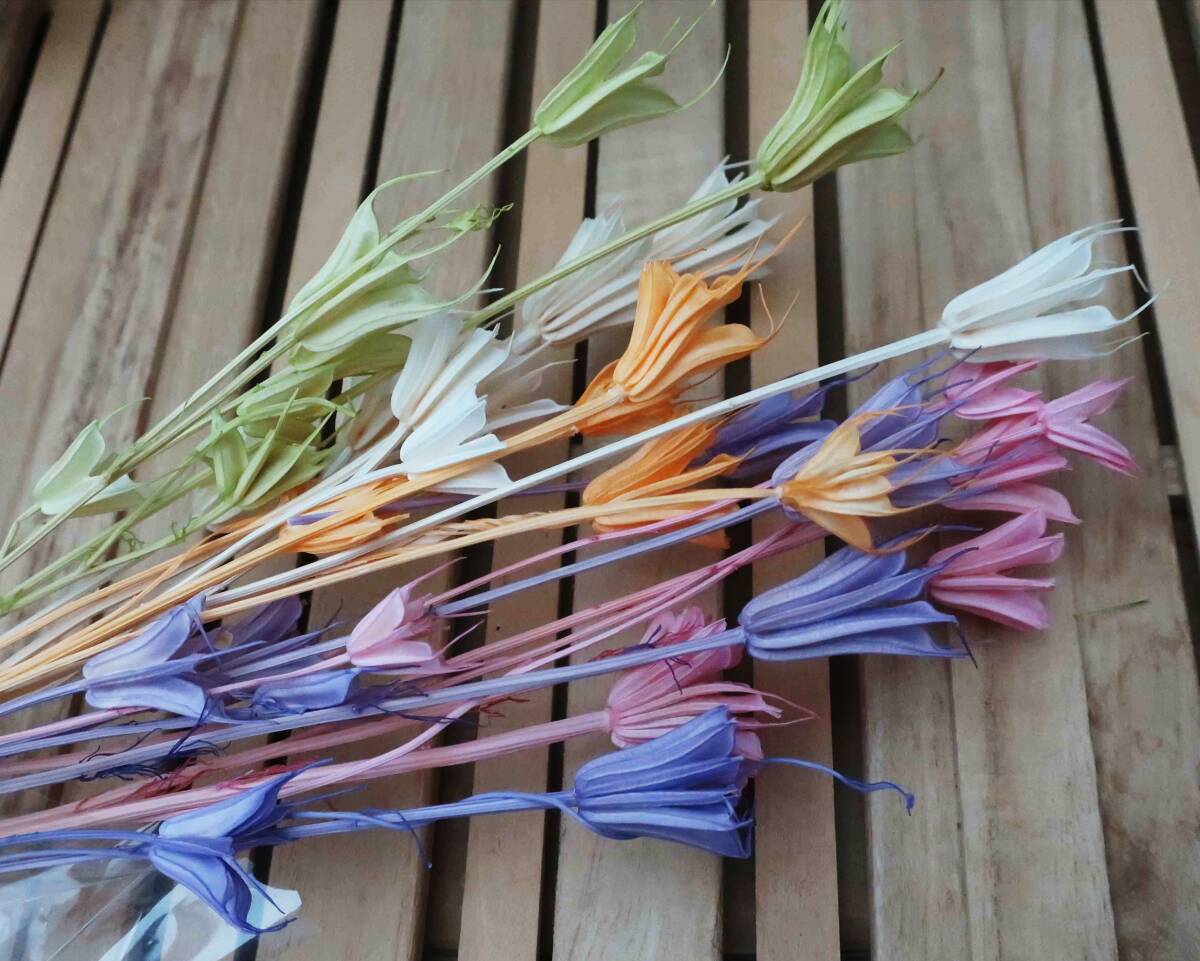 めぐみ工房 北海道ドライフラワー ニゲラオリエンタ5色25個ミックス・プリザーブ