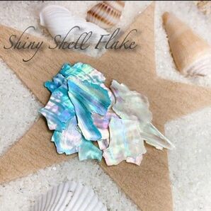 ●Shiny Shell Flake●薄型シェルフレーク●2色セット●色の変更可●色別梱包●大きめサイズ●