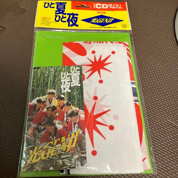 光GENJI ひと夏ひと夜 8㎝CD MINIアルバム