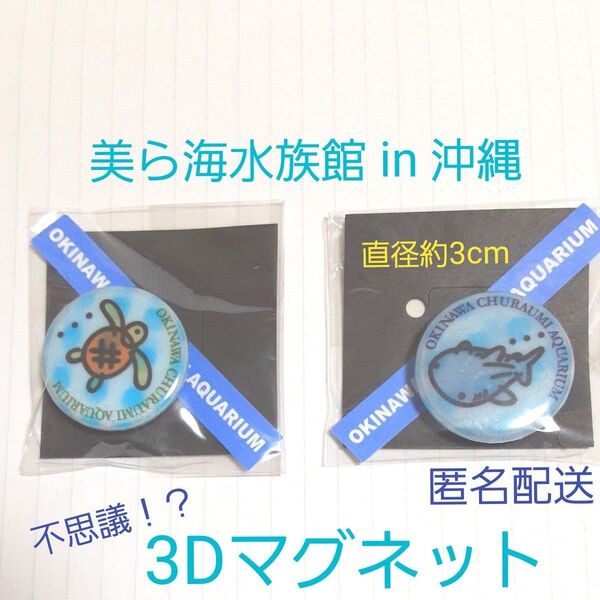【新品】美ら海水族館 in 沖縄 3Dマグネット ウミガメ & ジンベイザメ 直径 約3cm