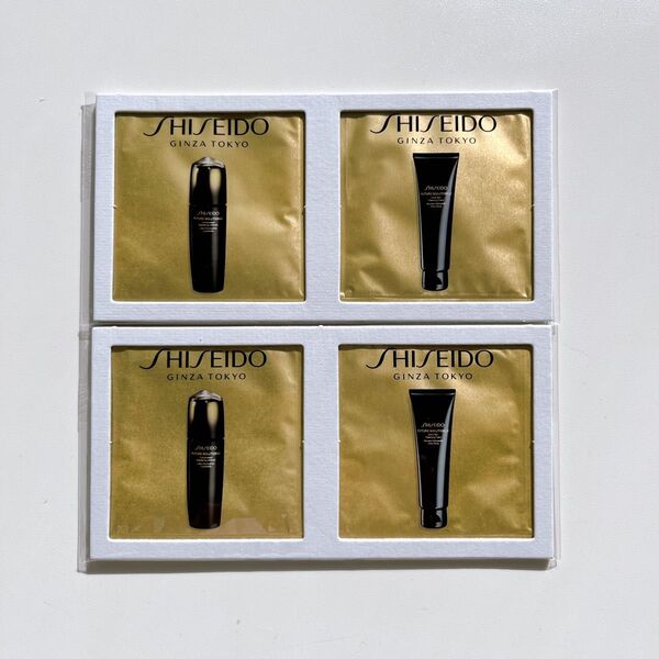 資生堂 SHISEIDO フューチャーソリューション LX サンプル