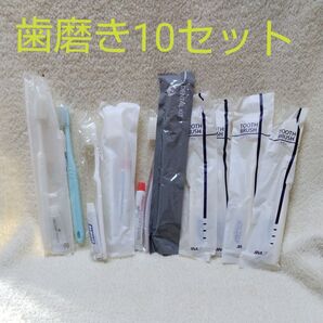 アメニティ 歯磨き 10セット 旅行/帰省/来客/掃除