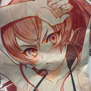 無職転生 エリス 抱き枕カバーセット 未開封