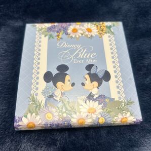 ディズニー エバーアフター チャーム