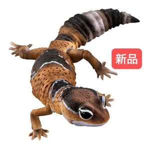 ニシアフリカトカゲモドキ(ノーマル) いきもの大図鑑アドバンス ニシアフリカトカゲモドキ バンダイ