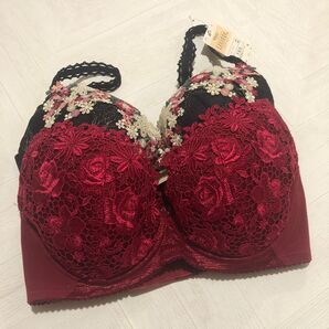 レシアージュ F65