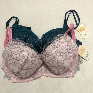 レシアージュ F65