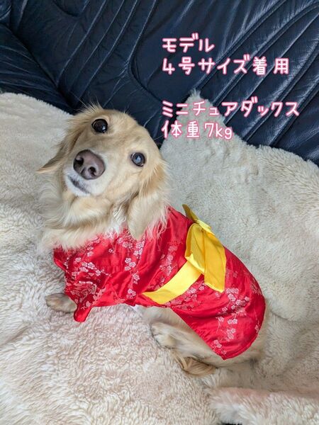 訳ありセール! 新品送料無料 PIPIスリーアローズ 4号小型犬浴衣着物振袖犬服和装節分七五三誕生日赤