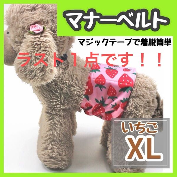 いちご XL マナーバンド マナーベルト マナーウェア 猫服 犬の服 オス マナーパンツ わんこ服