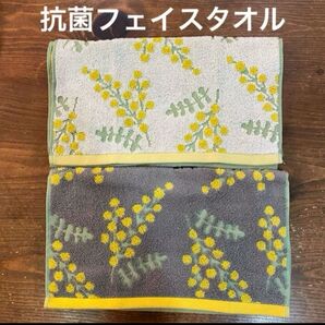 【新品】やわらか抗菌フェイスタオル ミモザ ホワイト・グレー 2枚セット
