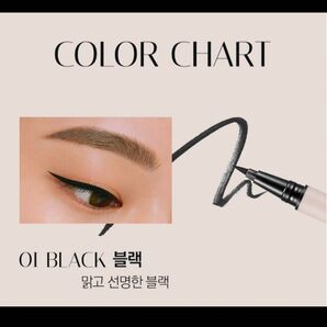 CLIO STAY PERFECT PEN LINER 01