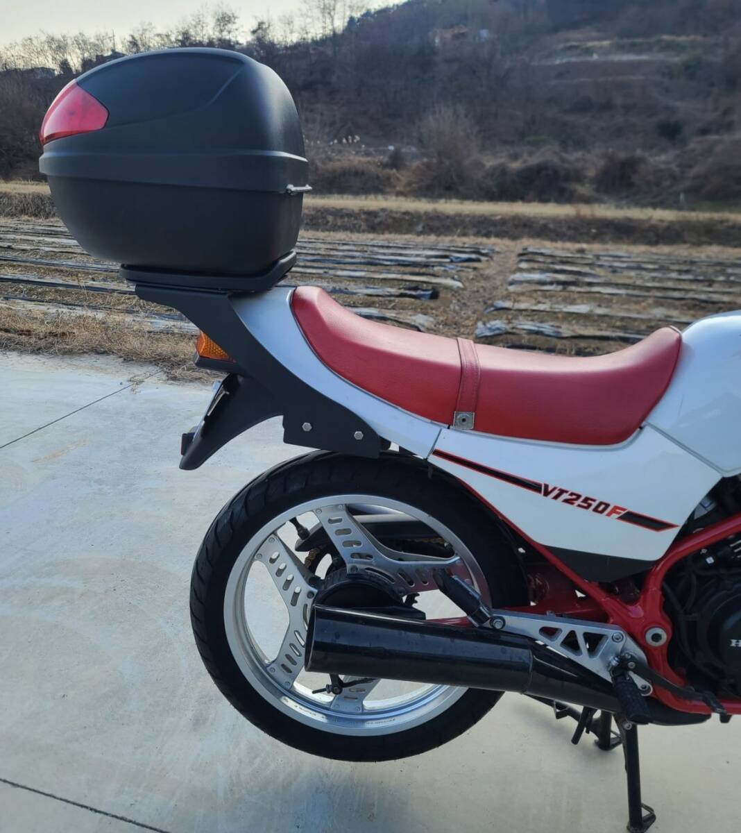 2025年最新】Yahoo!オークション -vt250f mc08 カウルの中古品 2025年最新】Yahoo!オークション -vt250f mc08 カウルの中古品