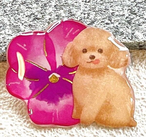 犬 トイプードル わんちゃん ブローチ ヘアゴム チャーム ピンバッジ レジン