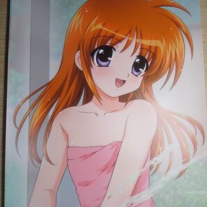 魔法少女リリカルなのは A's お風呂ポスター 3点セット