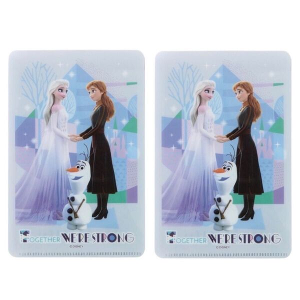 Disney ディズニー アナ雪 アナと雪の女王 マスクケース マスクポーチ 2点セット